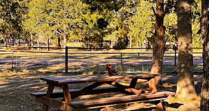 Water-view studio near Rummel Square with screened porch, streaming, wood stove