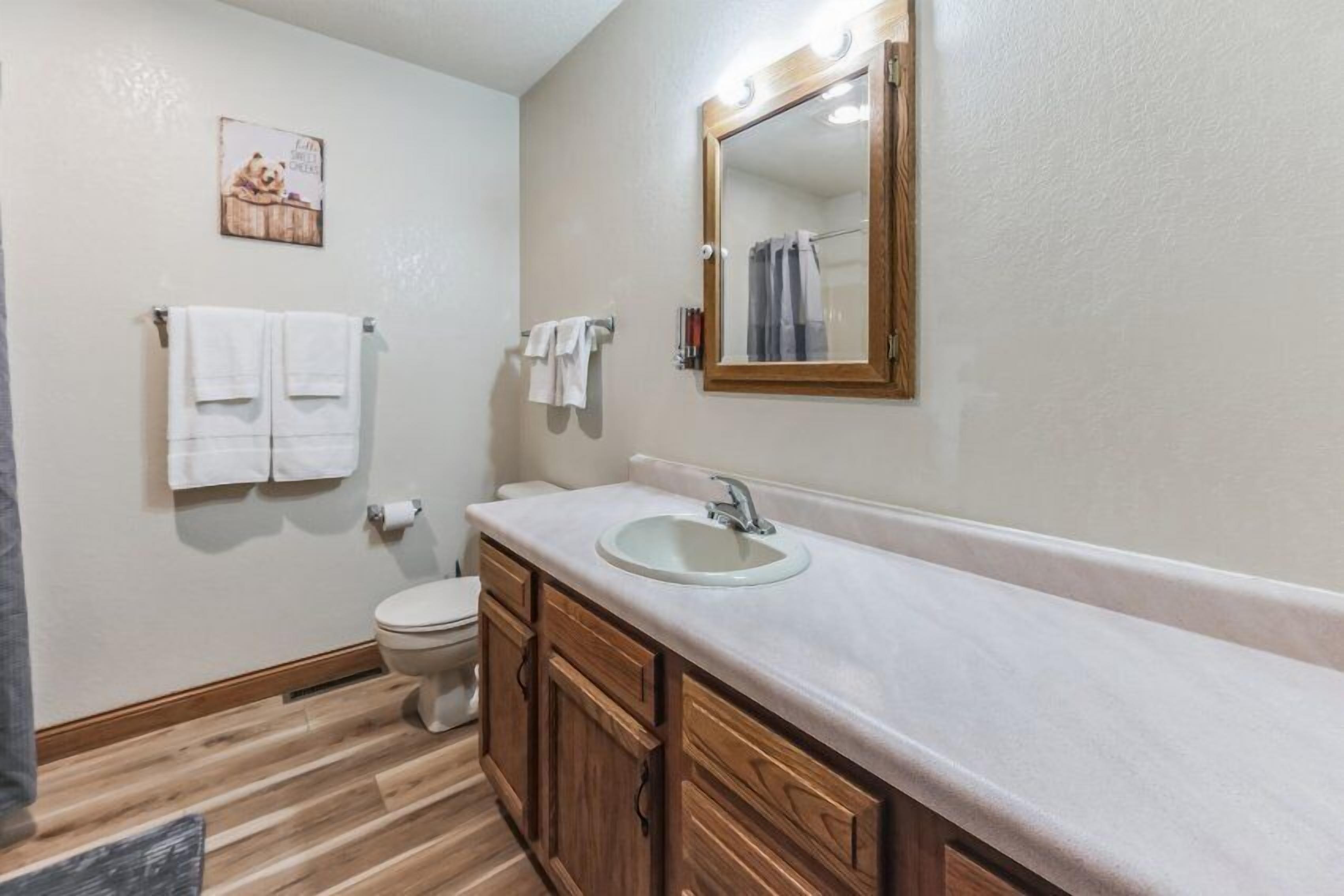 Hair dryer, towels