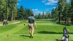 Un campo de golf con un sendero despejado, árboles y un bolso de golf a la derecha.