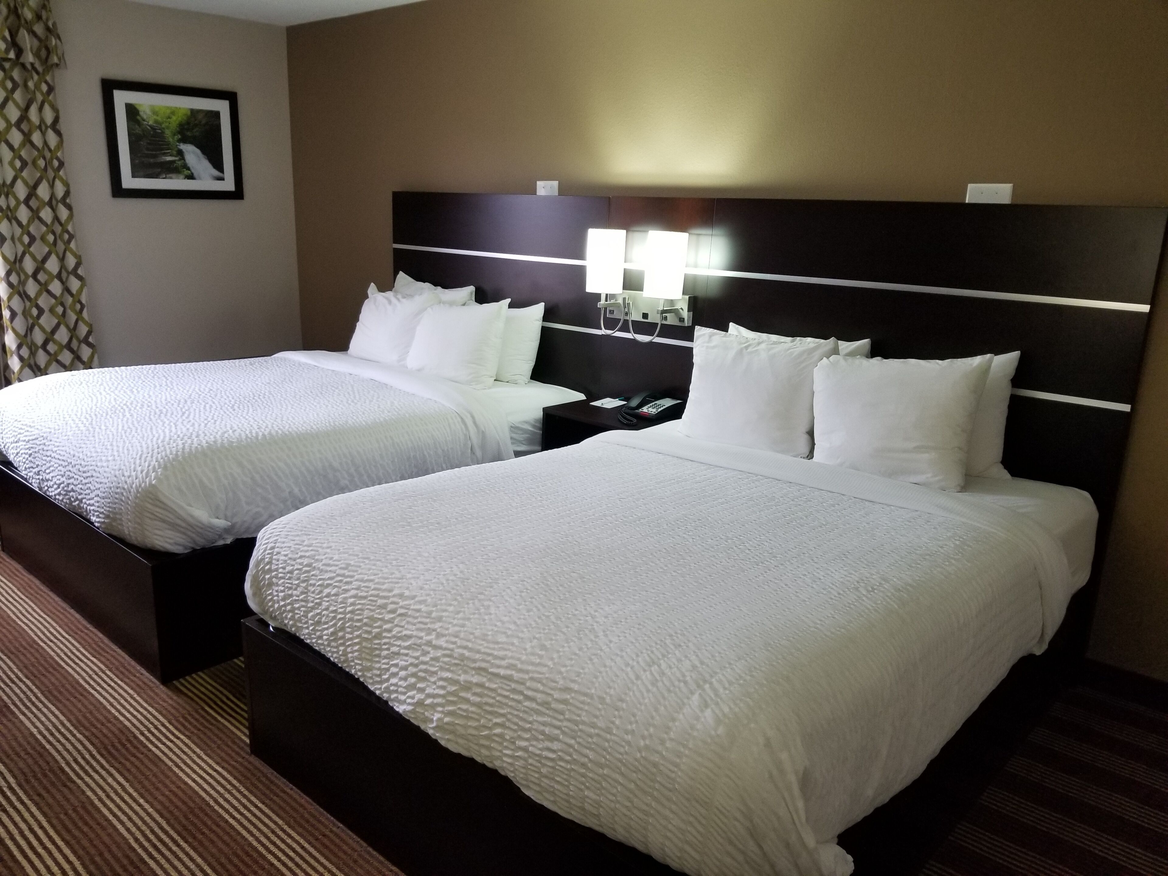 A hotel room with two beds, a nightstand with a phone and lamp, and a framed picture on the wall.