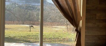 Ski retreat near Hunter and Windham. Mountain views! Family and pet friendly! 