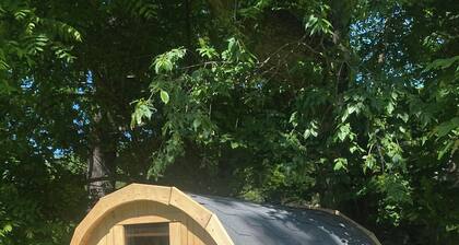 Ski retreat near Hunter and Windham. Mountain views! Family and pet friendly!