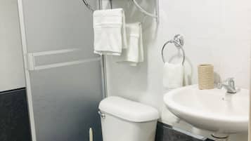Hair dryer, towels, soap, toilet paper