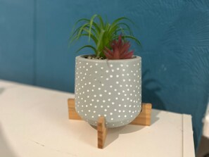 1 habitación y wifi gratis 