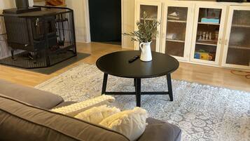 Smart TV, chimenea y libros