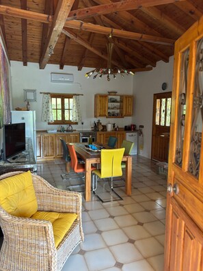 TV, caminetto, impianto stereo