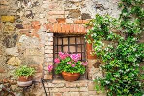 Exterior detail - Apartment 'Casa Rosa A Murlo' with Shared Pool, Wi-Fi and Air Conditioning (Murlo)