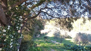 Jardines del alojamiento