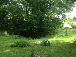 Property grounds - The Orchard-A Place to get Away and Relax at our cozy,remodeled, historic house. (Middleburg)