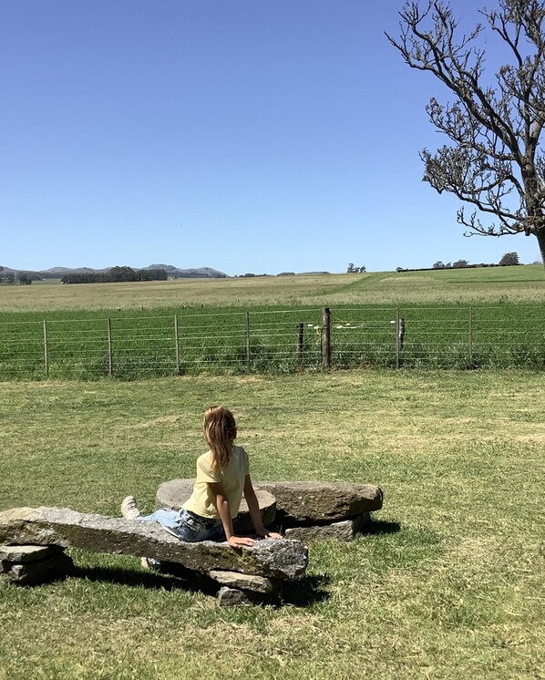 A person sitting on a stone bench in a grassy field with a fence and trees in the background.