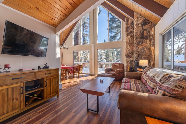 Télévision, cheminée, jeux vidéo, lecteur de DVD