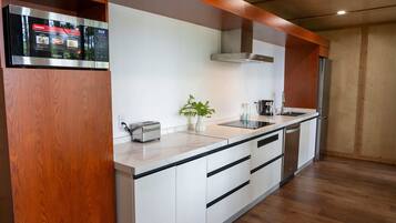 Frigorífic, microones, placa de cuina i rentaplats