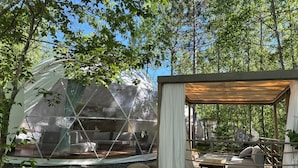 A geodesic dome structure with a wooden deck and seating area, surrounded by trees.