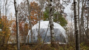 A large, dome-shaped structure surrounded by trees in a forest setting. - Algonquin's Edge Resort | Dome 7 (South Algonquin)