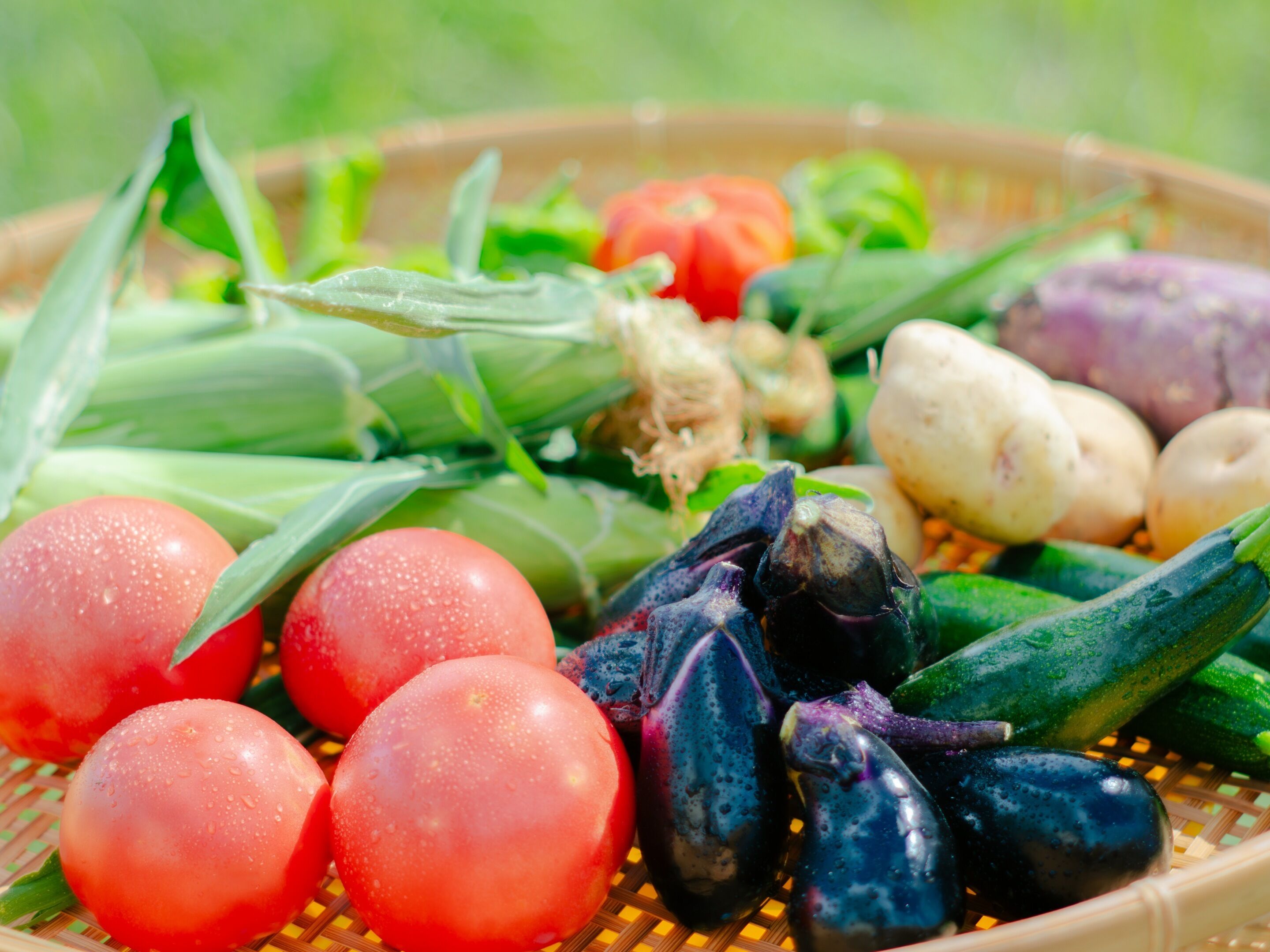 A basket of fresh vegetables including tomatoes, eggplants, and corn.