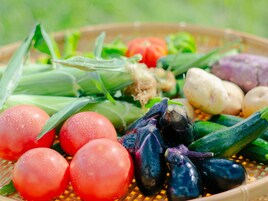 A basket of fresh vegetables including tomatoes, eggplants, and corn.