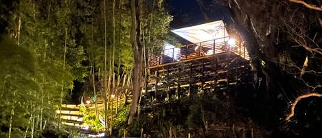 A wooden structure with a balcony, surrounded by dense forest.