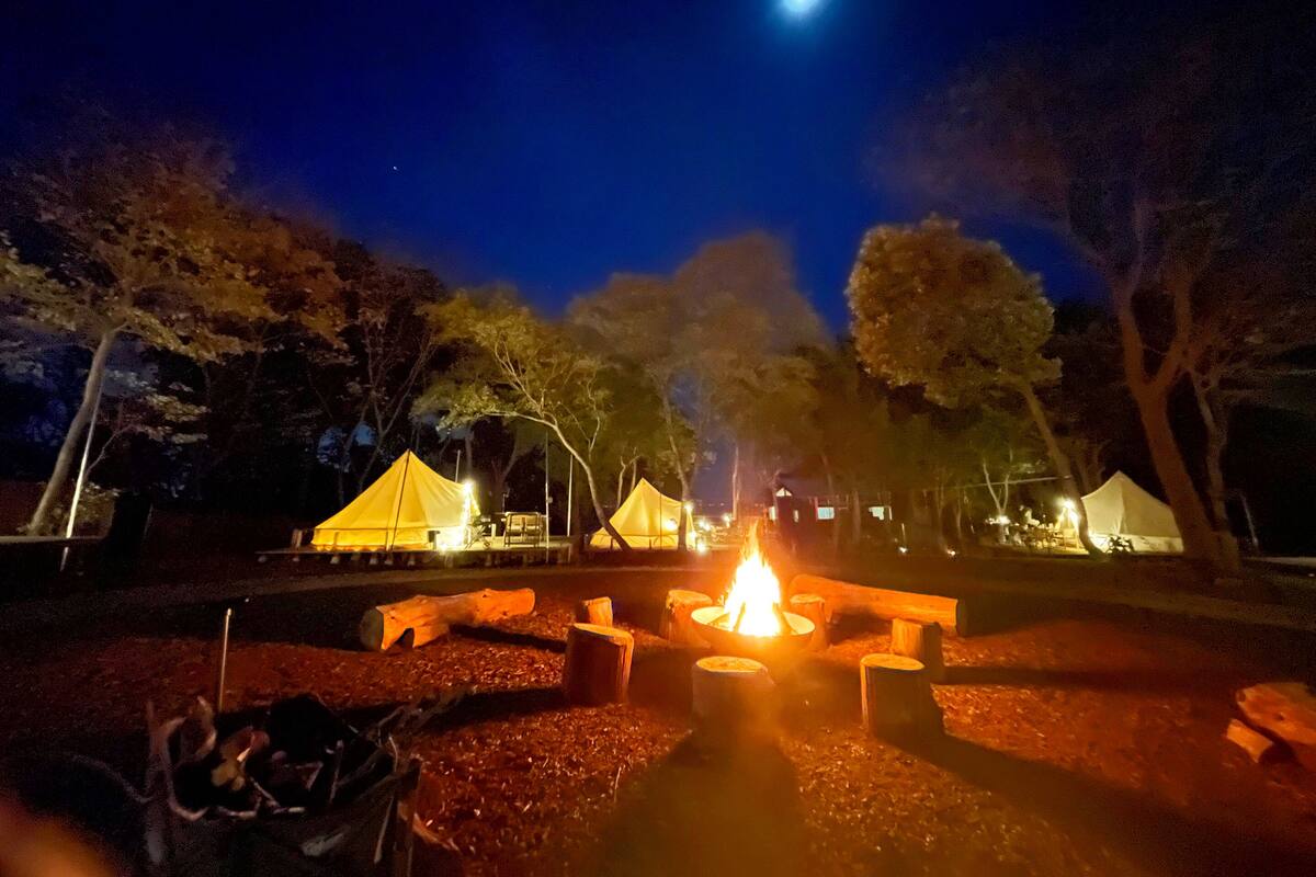 En campingplads om natten med telte, et bålsted i midten og træer.