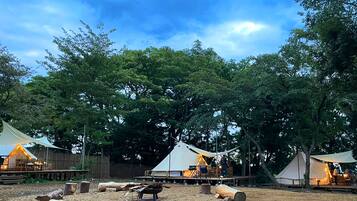 A campsite with multiple tents, wooden logs, and a fire pit.