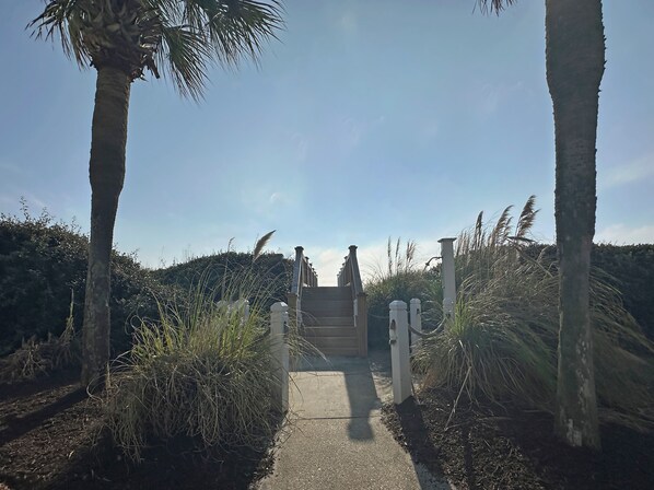Property grounds - Portofino I 1420 - Oceanfront in Garden City Beach (Garden City Beach)