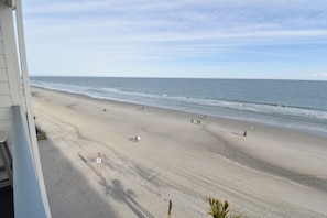 On the beach