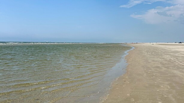 A wide sandy beach with gentle waves, a clear sky, and distant horizon. - 2 bedroom stunning apartment in Fanø (Fanø)