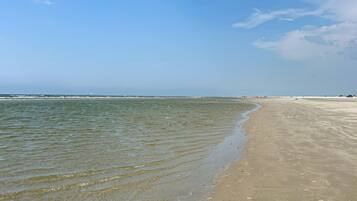 Vlak bij het strand, vissen