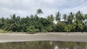 Una playa con palmeras y un cuerpo de agua tranquila que refleja el cielo.