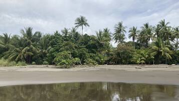 Camastros y toallas de playa