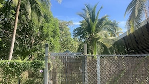 Un espacio vallado con una puerta, rodeado de exuberante follaje y palmeras.