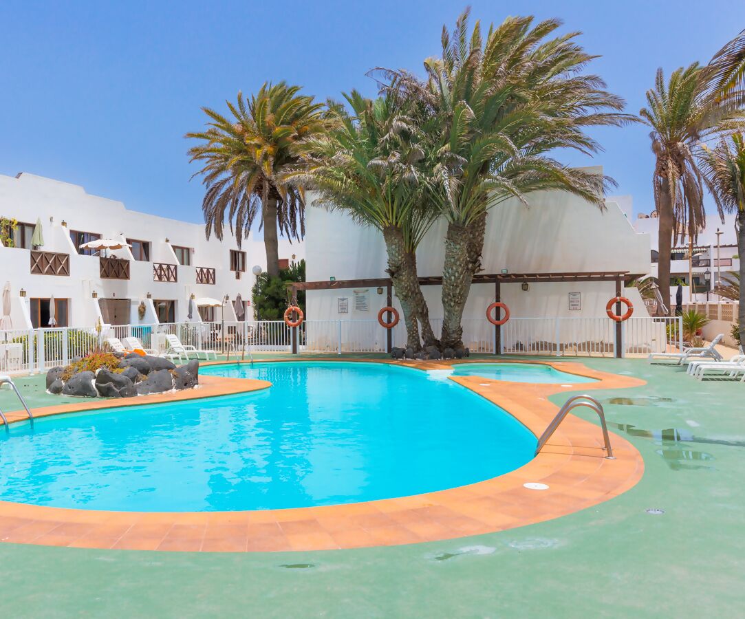 A swimming pool with a clear blue water, surrounded by palm trees and lounge chairs.