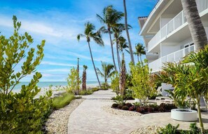 A pathway leading to a beachfront hotel with palm trees and a clear view of the ocean.