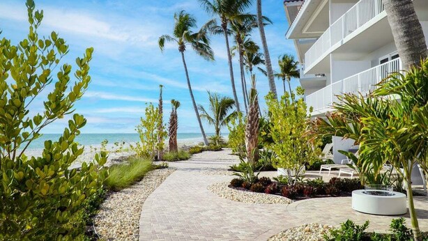 Un sentiero conduce a un hotel sulla spiaggia, con palme e vista libera sull'oceano.