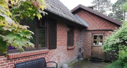 "Kolja" - 3km from the sea by Interhome