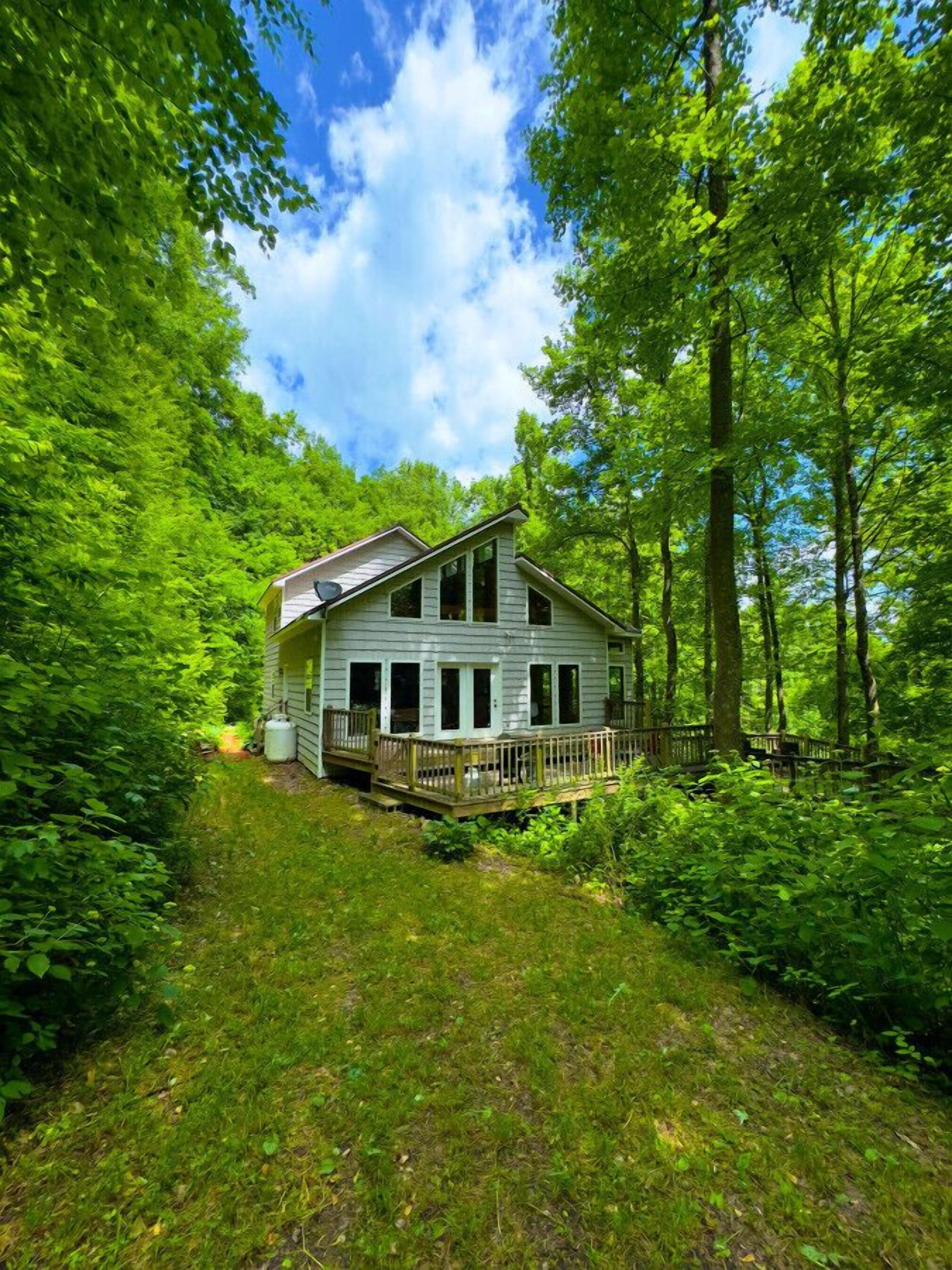 A rustic cabin surrounded by dense forest, with a wooden deck and a clear sky above.