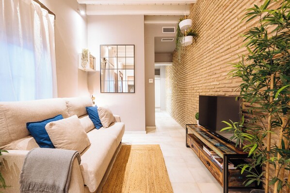 TV, books - Industrial apartment 1 bedroom and garage (Sevilla)