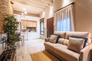 TV, books - Industrial apartment 1 bedroom and garage (Sevilla)