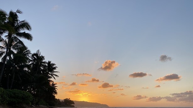 A beach with palm trees and a sunset.