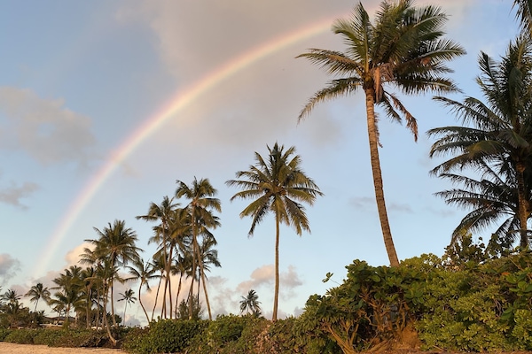 Rainbows almost every day from uncrowded beach. More turtles than people.