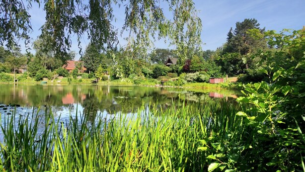 A serene pond surrounded by lush greenery and trees, with a clear sky above.