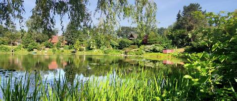 Jardines del alojamiento