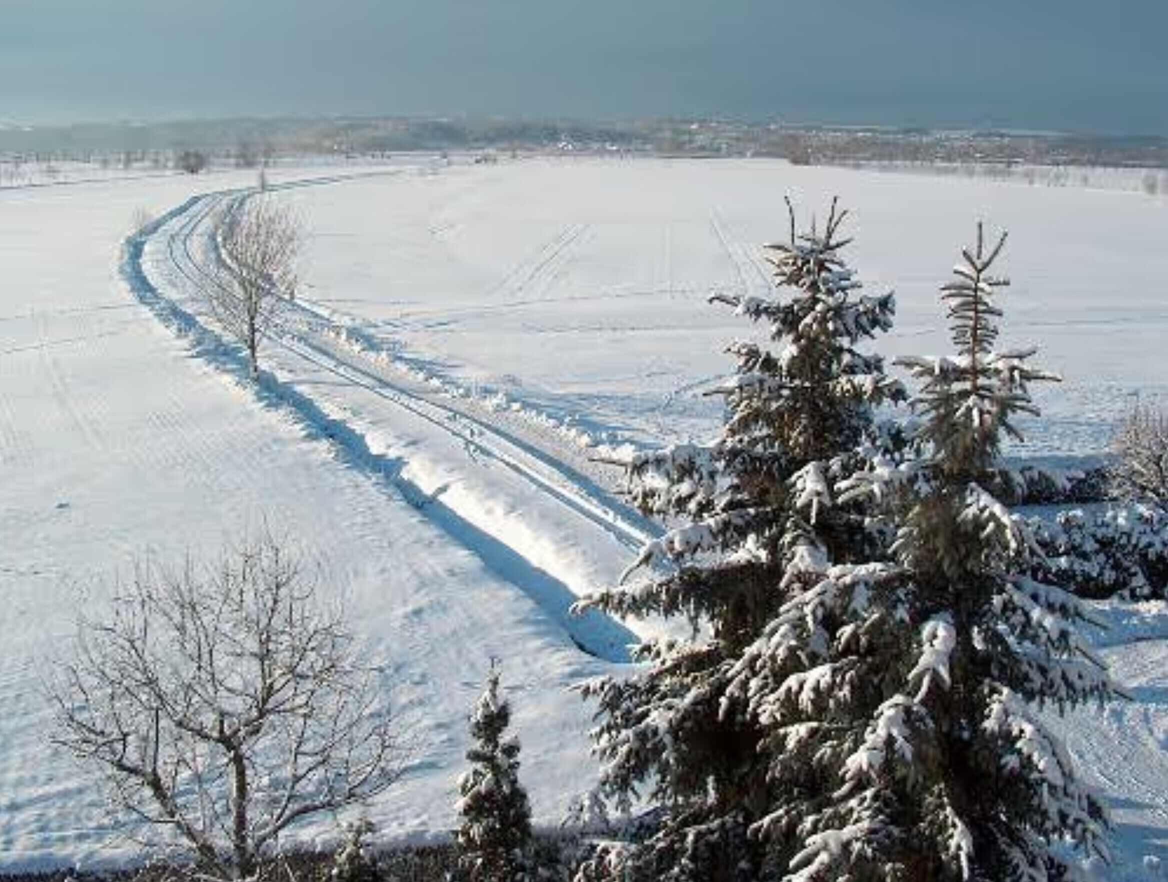 Un paysage enneigé, avec un ciel dégagé, une route recouverte de neige et des arbres à feuilles persistantes.