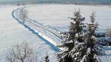 Un paysage enneigé, avec un ciel dégagé, une route recouverte de neige et des arbres à feuilles persistantes.