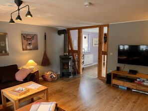 TV, fireplace, DVD player - Apartment 'Ferienwohnung Hexenstube 2' with Balcony and Wi-Fi (Tanne)