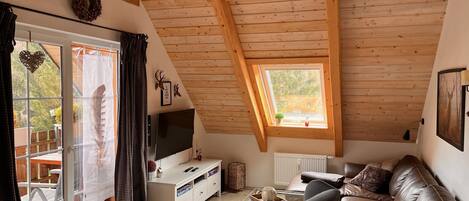 TV, fireplace, video games, DVD player