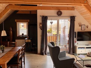 TV, fireplace, video game console, DVD player