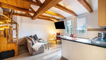 Fernseher, DVD-Player