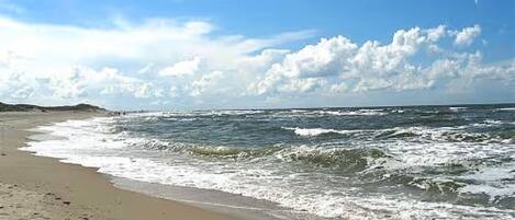 Playa en los alrededores