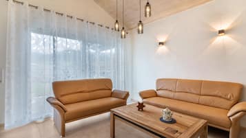 TV, fireplace, table tennis