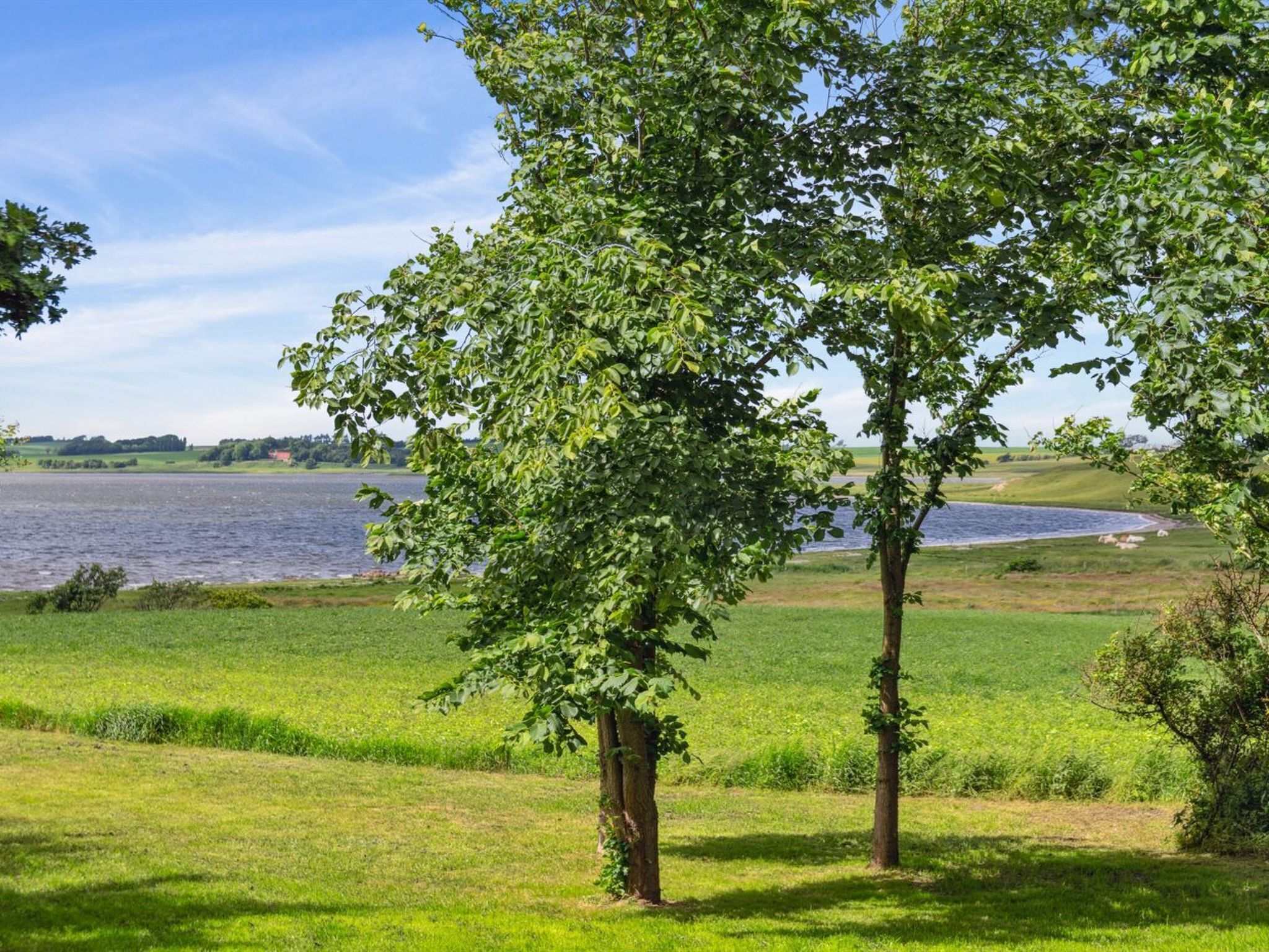 Un paysage paisible au bord du lac, avec une végétation luxuriante et une vue dégagée sur l’eau.